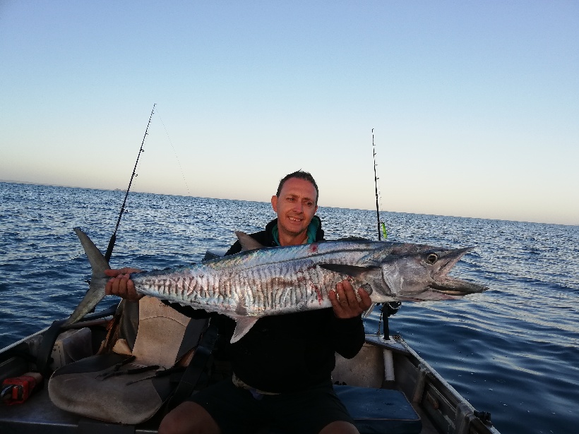 Spanish mackerel held on a boat
